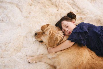 Pets in the Home