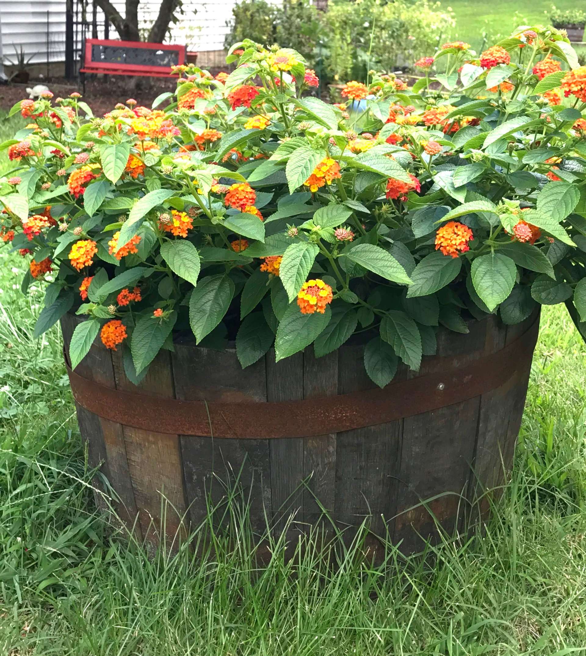 Old Barrel — Wood Barrel in Capitol Heights, MD Old Barrel — Wood Barrel in Capitol Heights, MD