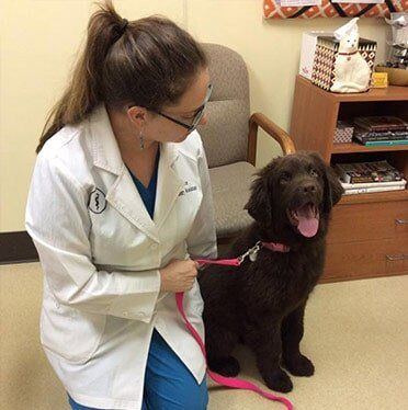 the doctora — caring professionals in Richmond, VA the doctora — caring professionals in Richmond, VA