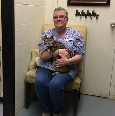 The woman take care of the cat — caring professionals in Richmond, VA The woman take care of the cat — caring professionals in Richmond, VA