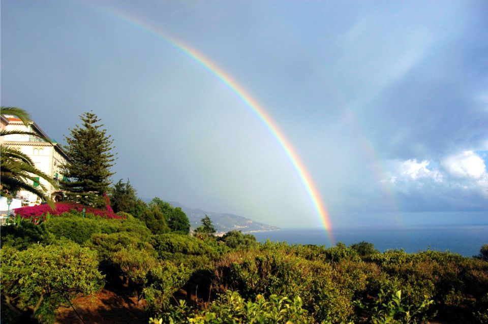 Regenbogen