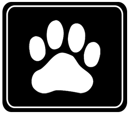 Animal Hospital Stratford, CT