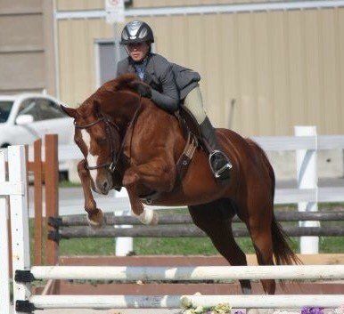 Ashley soaring over a fencing riding Kings Fancy Touch