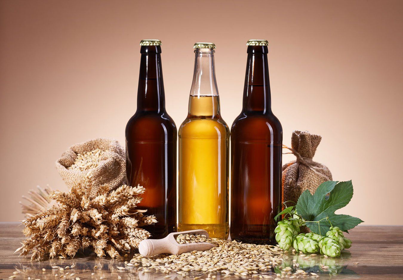 Brewing Beers Instructions