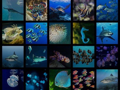 Live Gallery - Screensaver app for Apple TV