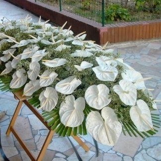 composizione di anthurium per cofano funebre