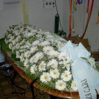 composizione di gerbere per cofano funebre