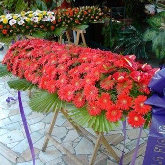 cuscino funebre di gerbere rosse