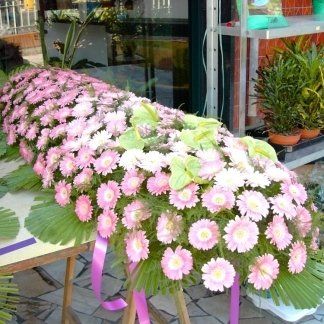 cuscino funebre di gerbere