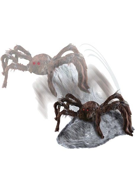 A spider is crawling on a rock on a white background.