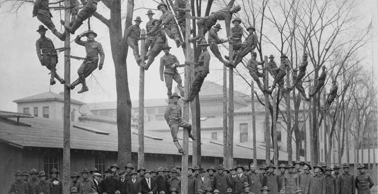 Western Tree Service Western Tree Service