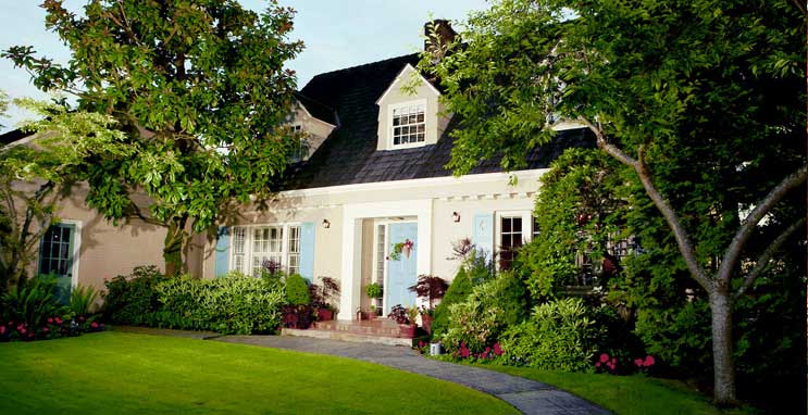 Western Tree Service