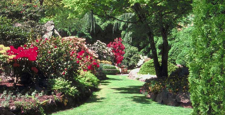 Western Tree Service