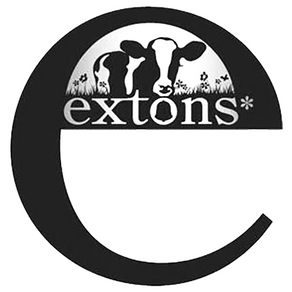 Extons appoints Brand Distillery