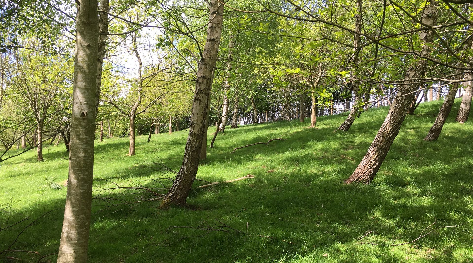 wensleydale camping at aysgarth falls, Aysgarth Falls Camping, Go Wild Camping, Wild Camping