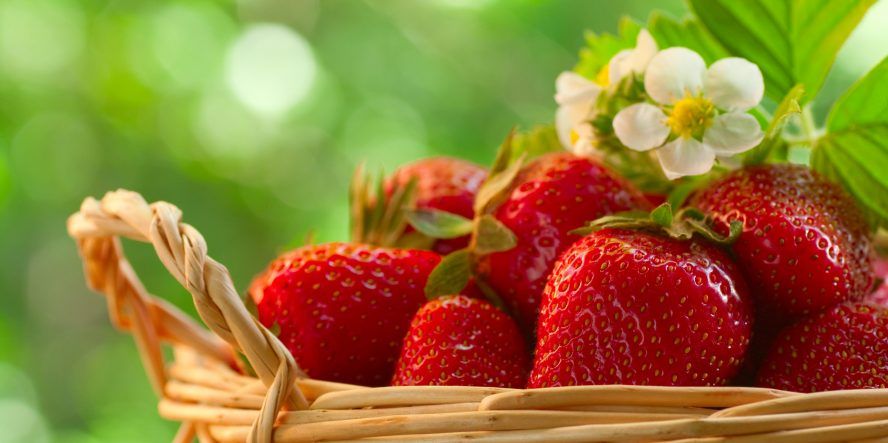 Strawberries
