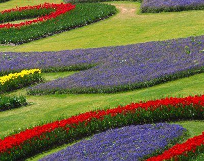 Waynes Garden and Lawn Mowing Maintenance landscaping with plants having flowers