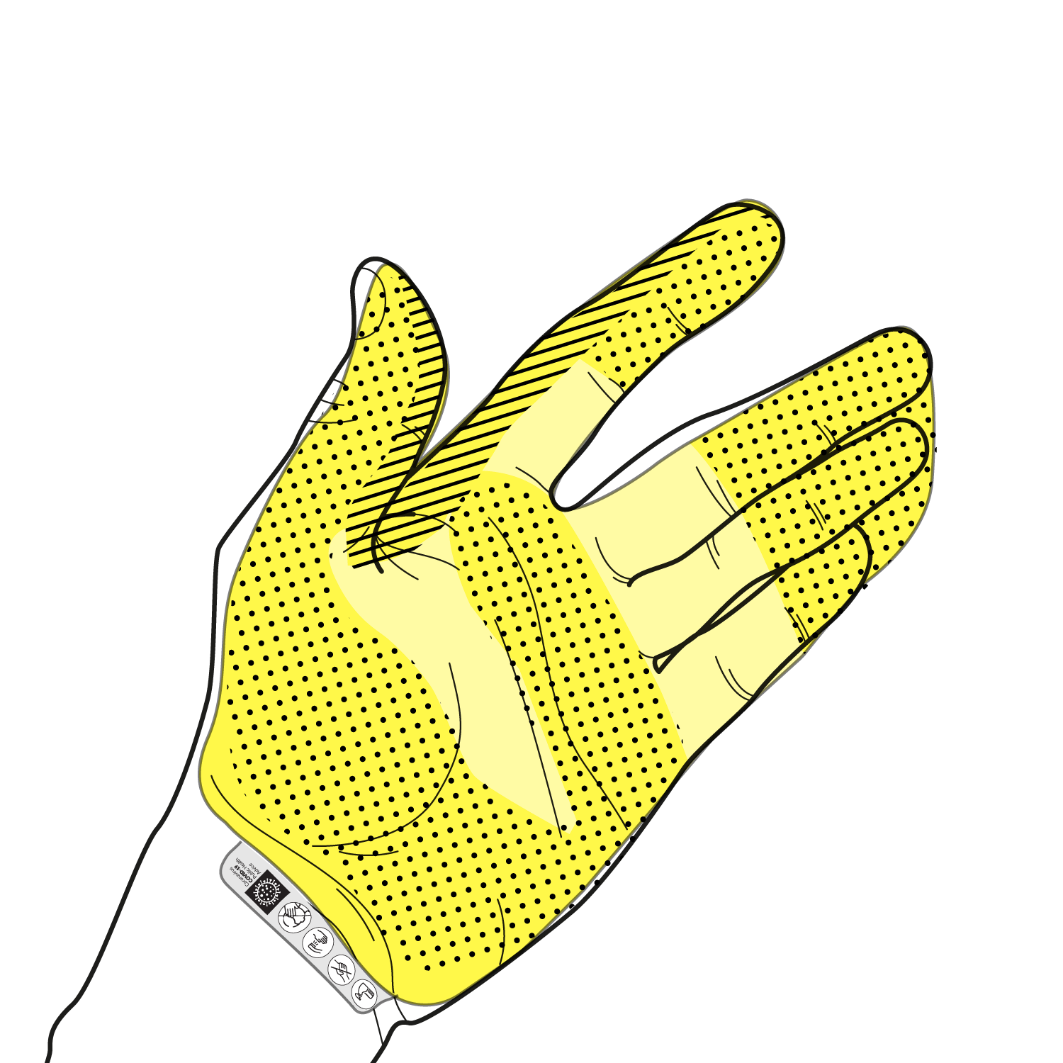 scriba illustration