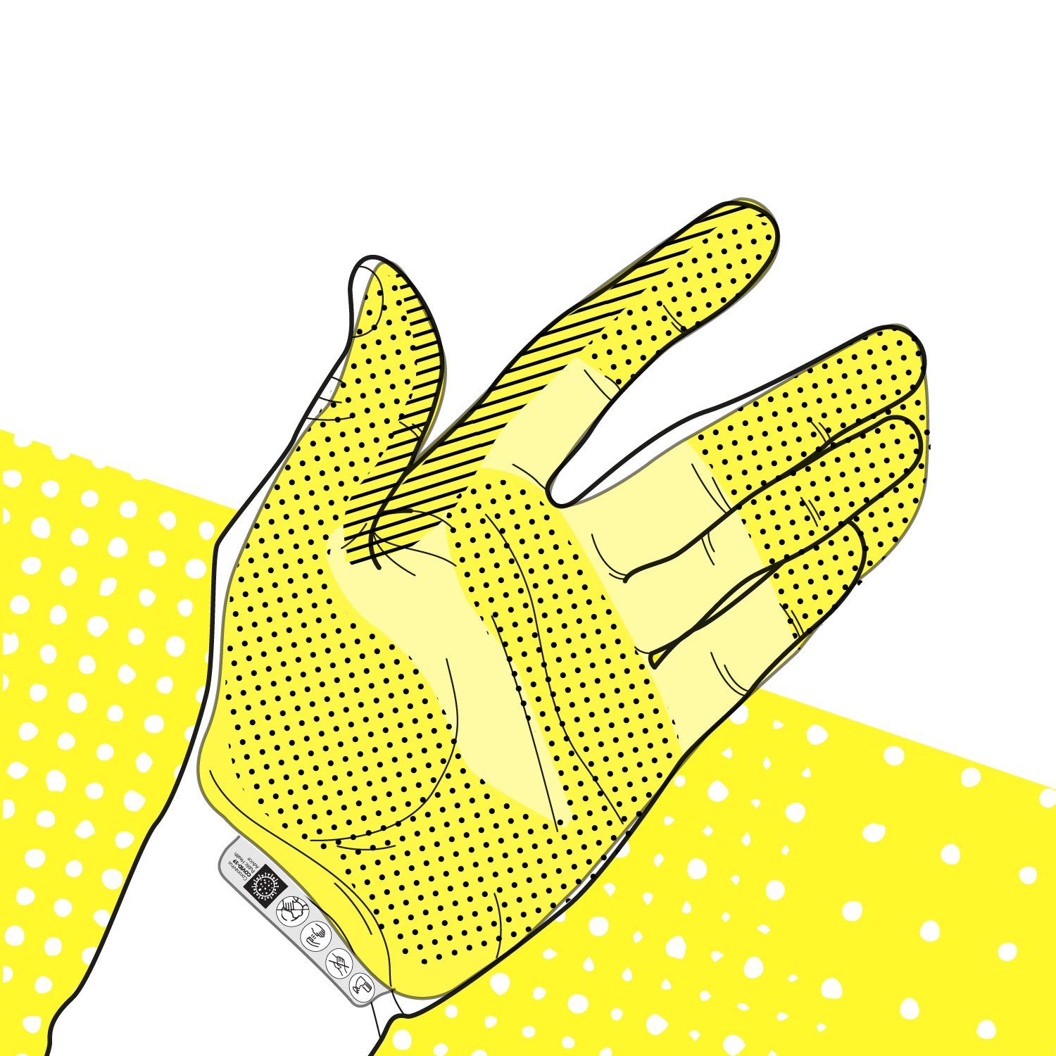 palmar illustration