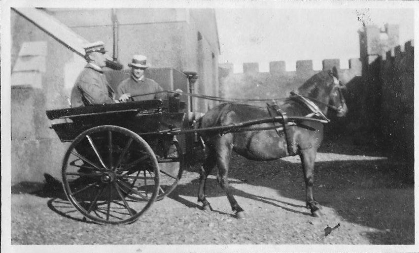 Image of horse and carriage
