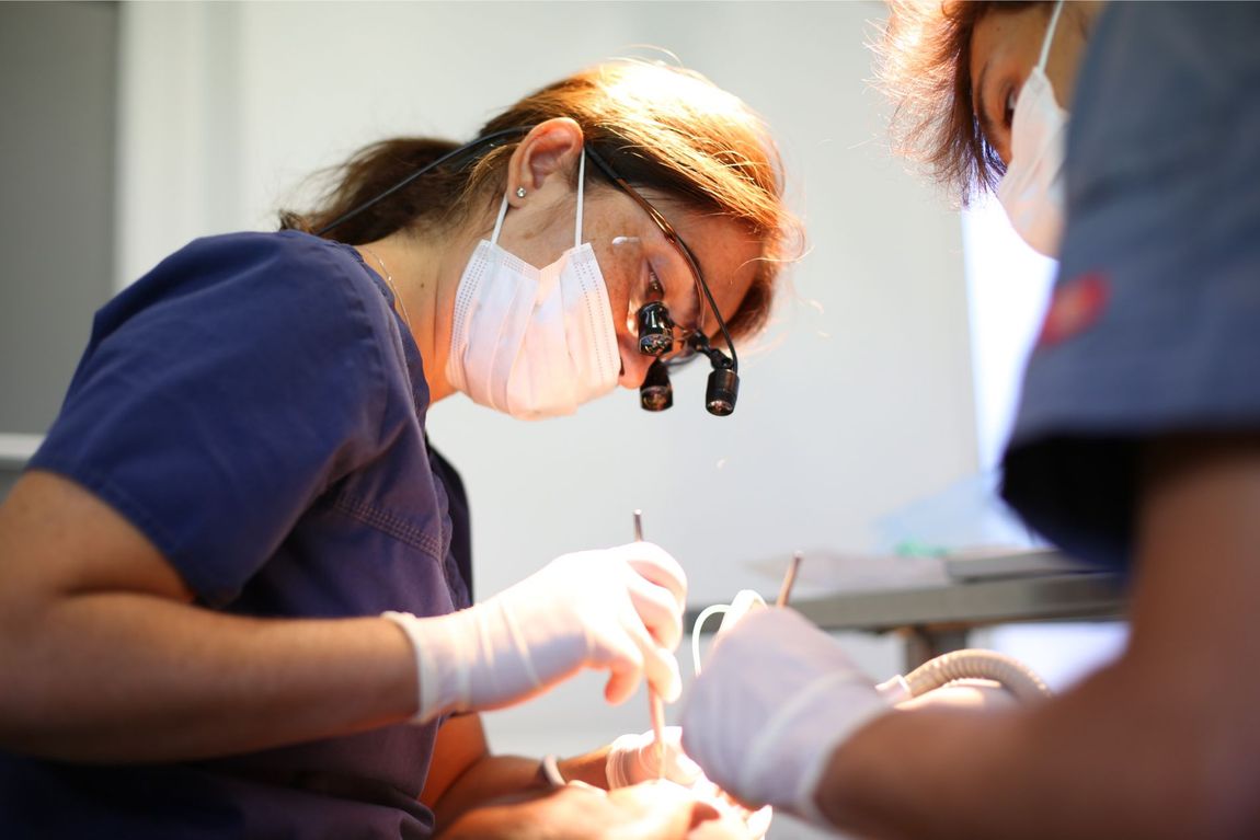 dentista