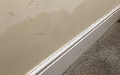 Damp surveys