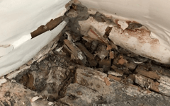 Timber defects