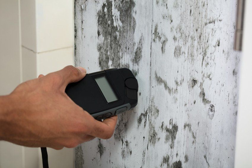 Damp surveys