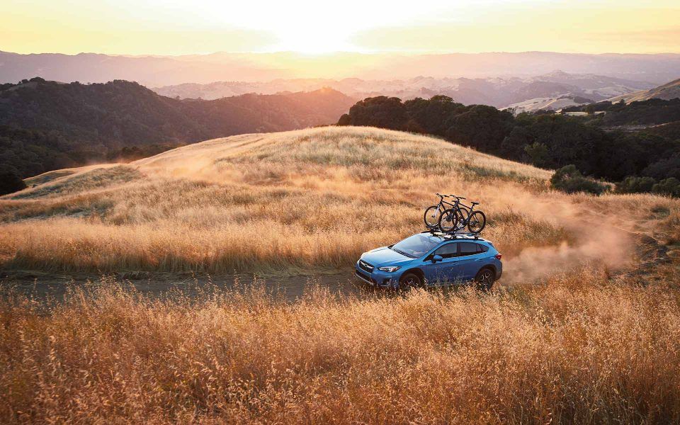 Subaru in un campo