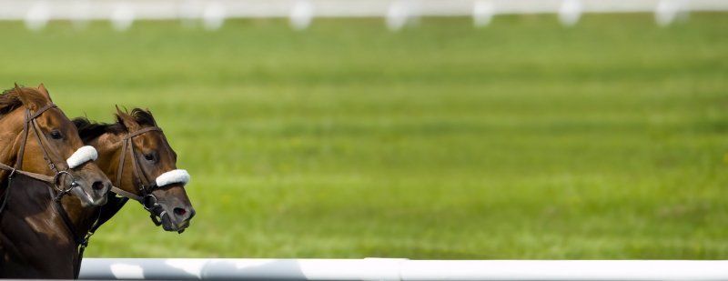 Horse Racing Results