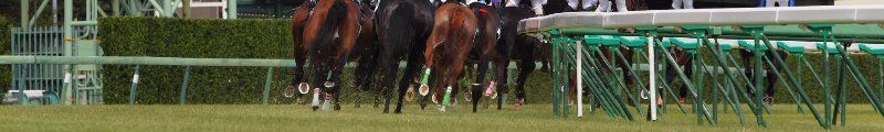 melbourne cup