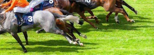 horse racing tips