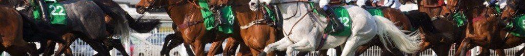 horse racing tips