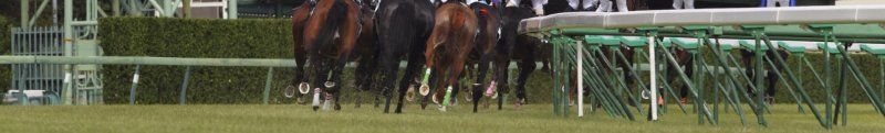 Horse Racing Professional Betting Articles