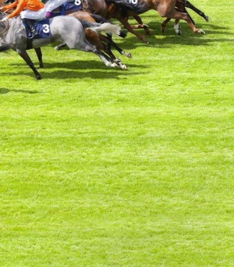 Horse Racing Tips