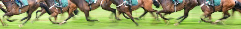 money management horse racing