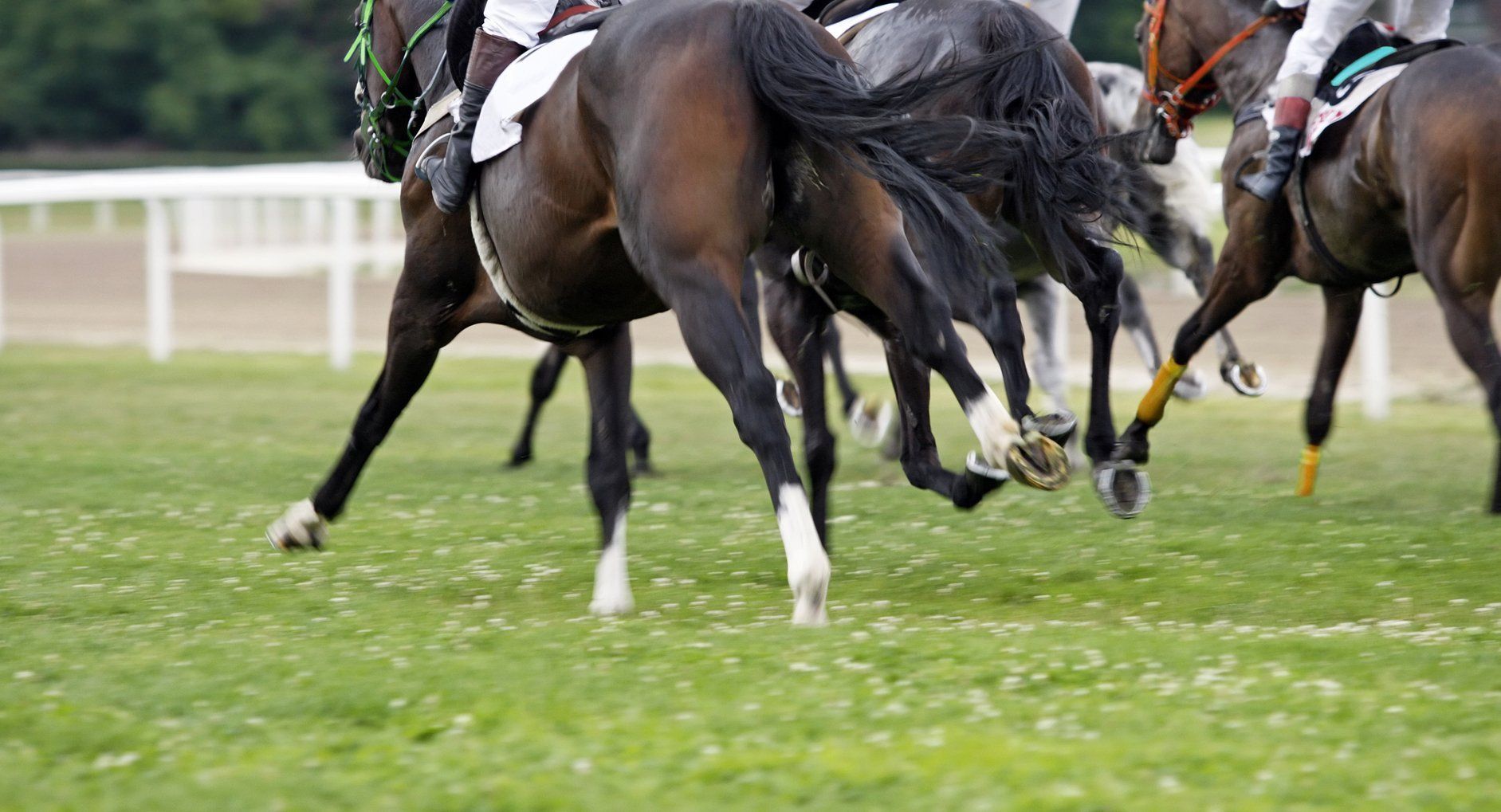 Thursdays Free Horse Racing Tips