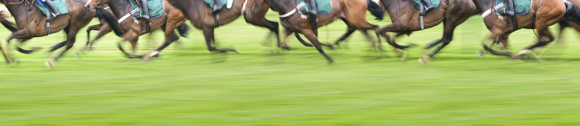 Horse Racing Tips