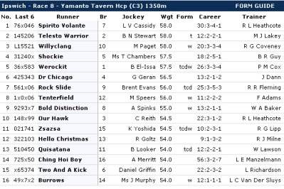 Horse Racing Beginners Guide