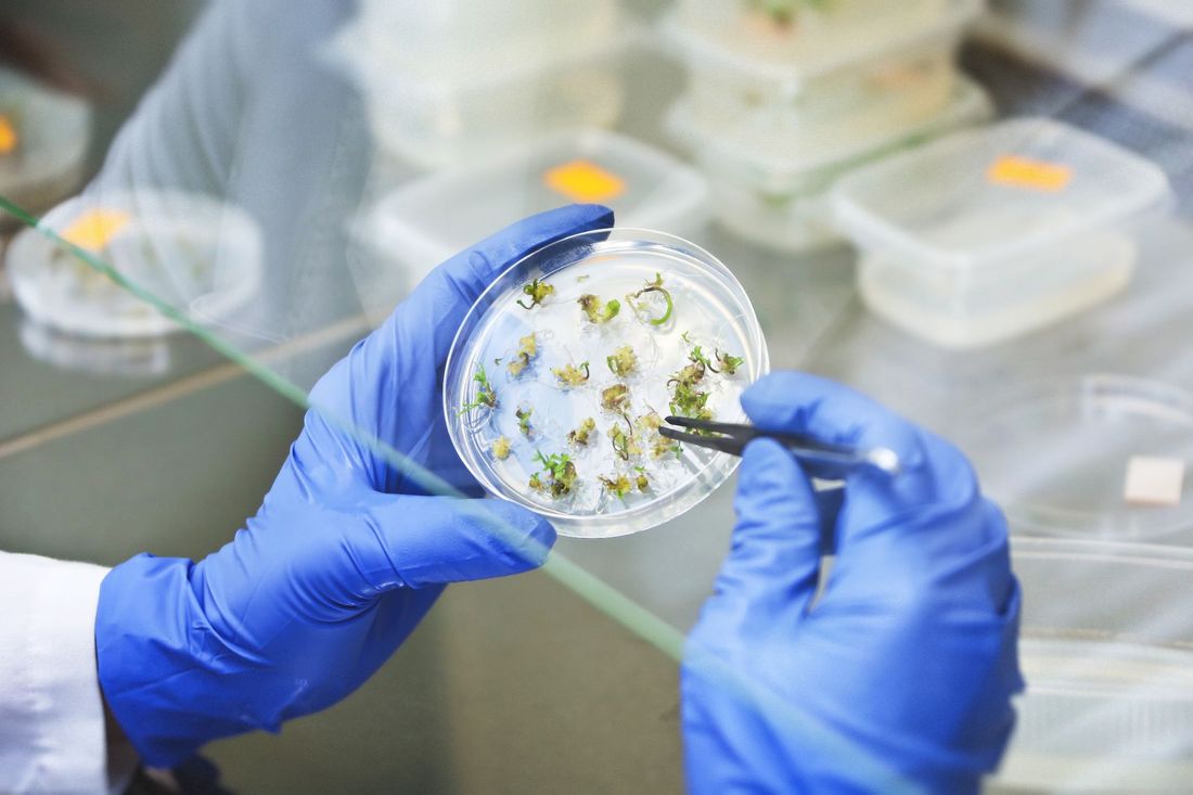 Analisi microbiologiche