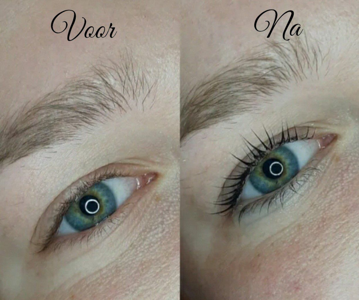 Lash Volume Lift Lash lifting