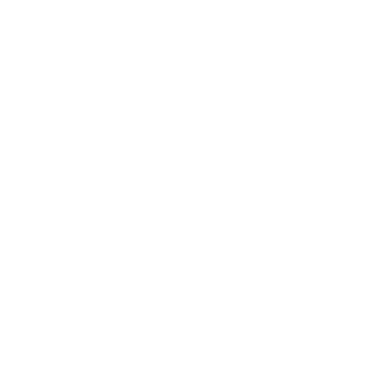 Philtronics Solutions Logo Icon White