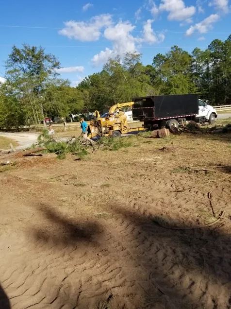 Worker Removing Trees In The Area — Columbia, SC — Affordable Carolina Tree Service