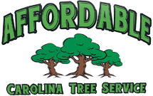 Affordable Carolina Tree Service