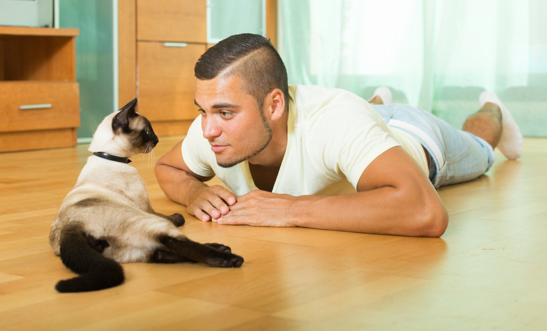 Allergic-to-Pets
