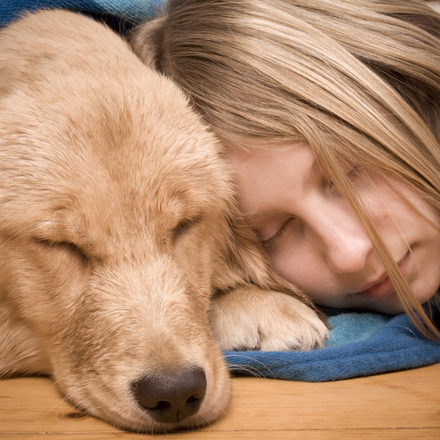 Pet-Allergies-Doctor-Khalid-Gladstone-Mo