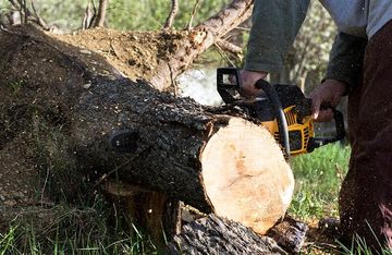 Stump Removal — Emergency Service in Chicago, IL Emergency Tree Removal Services in Aurora, IL
