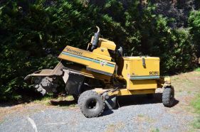Trees Trimmed and Shaped, Tree Removal, Bears Tree Removals, Stump Removal, Trees Removed
