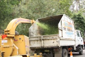 Trees Trimmed and Shaped, Tree Removal, Bears Tree Removals, Stump Removal, Trees Removed, Bears Tree Removal, Bears, Bear