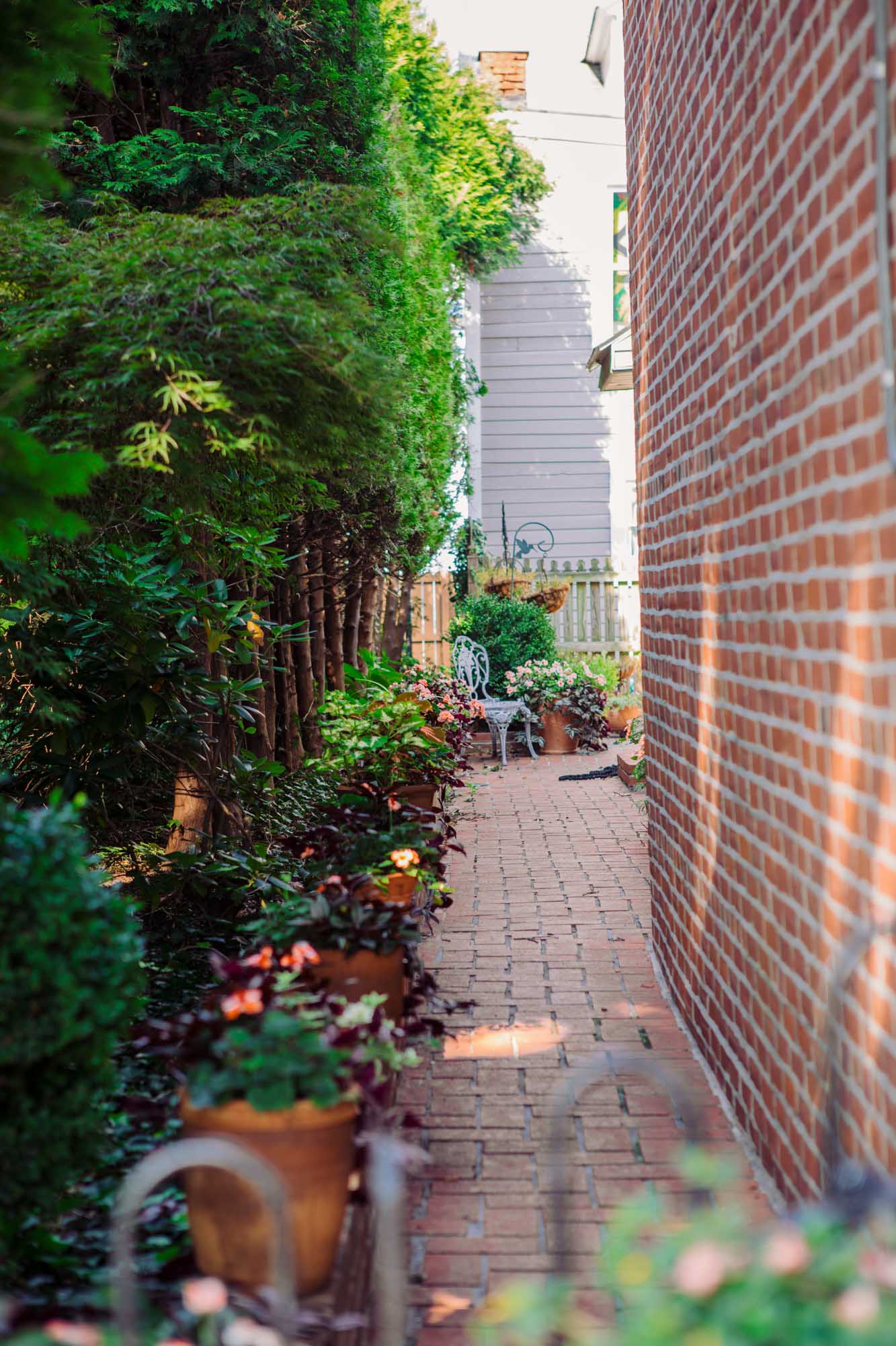 Back patio area